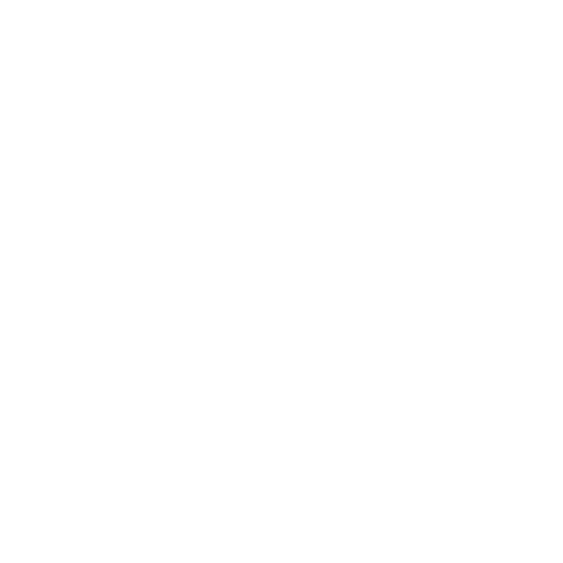 team (2)